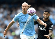 开云- 弗兰克德国教练 